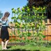 image71 x 71 Trellis for Climbing Plants Outdoor UShaped Metal Garden Arched Trellis with Netting SureClips ampamp Ground Stakes Cucumber Trellis for Vegetable Fruit Flower Vine