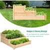 imageGRAFFY 3Tier Raised Garden Bed Wood Elevated Planter Box Outdoor Planting Bed for Vegetable Flower Herb Plant Display Container Rack for Grass Lawn Patio Backyard