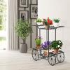 imageGRAFFY Garden Cart Metal Stand with 4 Decorative Wheels Flower Pot Holder Display Shelf Plant Display Rack Multifunctional Storage Organizer Shelf for Home Living Room Balcony Patio Garden