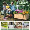 imageGRAFFY Raised Garden Bed Folding Wood Planter Box wRemovable Bottom ampamp Drainage Elevated Planter for Flower Herb Vegetable Fruit Plant Container for Grass Lawn Patio Backyard 275quotD x 12quotW x 10quotH275D x 12W x 10H