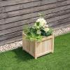 imageGRAFFY Raised Garden Bed Folding Wood Planter Box wRemovable Bottom ampamp Drainage Elevated Planter for Flower Herb Vegetable Fruit Plant Container for Grass Lawn Patio Backyard 275quotD x 12quotW x 10quotH15D x 15W x 14H