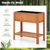 imageGRAFFY Raised Garden Bed with Shelf Raised Planter Box with Legs Wood Elevated Planter Box with Drain Holes Outdoor Planting Bed for Vegetable Flower Planting Container for Grass Lawn Patio