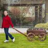 imageGRAFFY Wood Wagon Wooden Flower Planter with Handle and Wheels Decorative Planter Flower Pot Holder for Patio Balcony Lawns Backyard Decor