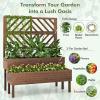 imageRaised Garden Bed with Trellis 2Tier Wood Planter Box with Freestanding Legs ampamp Drainage Holes Outdoor Raised Garden Bed for Climbing Plant Vine Vegetable