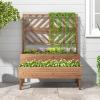 imageRaised Garden Bed with Trellis 2Tier Wood Planter Box with Freestanding Legs ampamp Drainage Holes Outdoor Raised Garden Bed for Climbing Plant Vine Vegetable