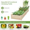 imageRaised Garden Bed with Trellis Elevated Gardening Bed with Divided Space for Flower Vegetables Fruits Climbing Plants Outdoor Wooden Planter Box Kit for Yard Patio 93quot L x 25quot W x 40quot