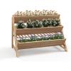 image3Tiers Raised Garden Bed Wooden Garden Planter with 3 Planter Box ampamp Storage Shelf 2 Convenient Side Hooks Outdoor Elevated Plant Box Stand with Leg for Flowers Vegetables