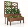 imageRaised Garden Bed with Trellis 2Tier Wood Planter Box with Freestanding Legs ampamp Drainage Holes Outdoor Raised Garden Bed for Climbing Plant Vine Vegetable