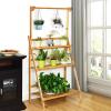 imageGRAFFY 3Tier Hanging Plant Stand Wooden Folding Plant Organizer w3 Display Racks ampamp Adjustable Hanging Bar Plant Flower Rack for Balcony Patio Garden Bathroom Home Office