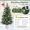 imageTabletop Artificial Christmas Tree PreLit Mini Xmas Tree with 20 Warm White LED Lights 8 Modes Flocked PVC Pine Needles with White Berries Holiday Decoration for Home GreenGreen