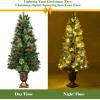imagePrelit Artificial Christmas Tree Xmas Tree with Warm White LED Lights ampamp Festive Ornaments Indoor Outdoor Holiday Decoration for Home Office Shop Apartment FamilySafe 5ft5ft
